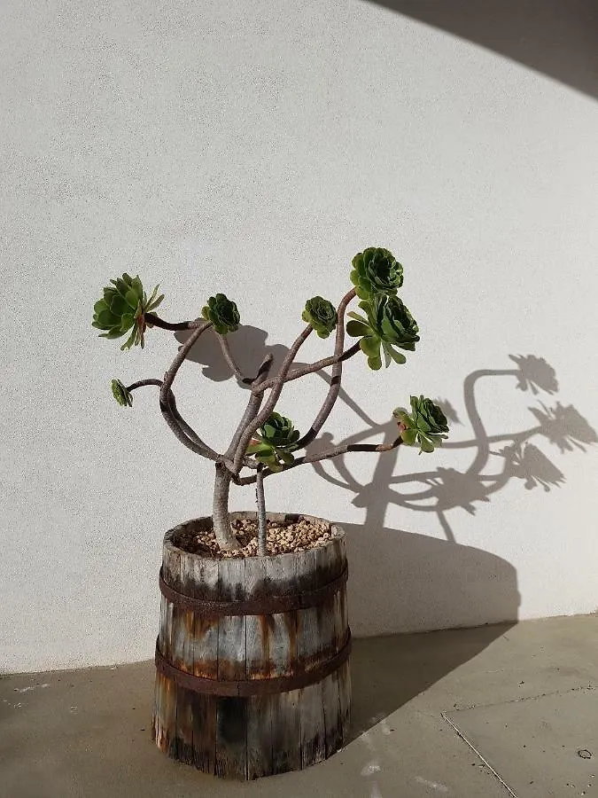 Casa Vacanza Vendicari Lido di Noto Holiday home